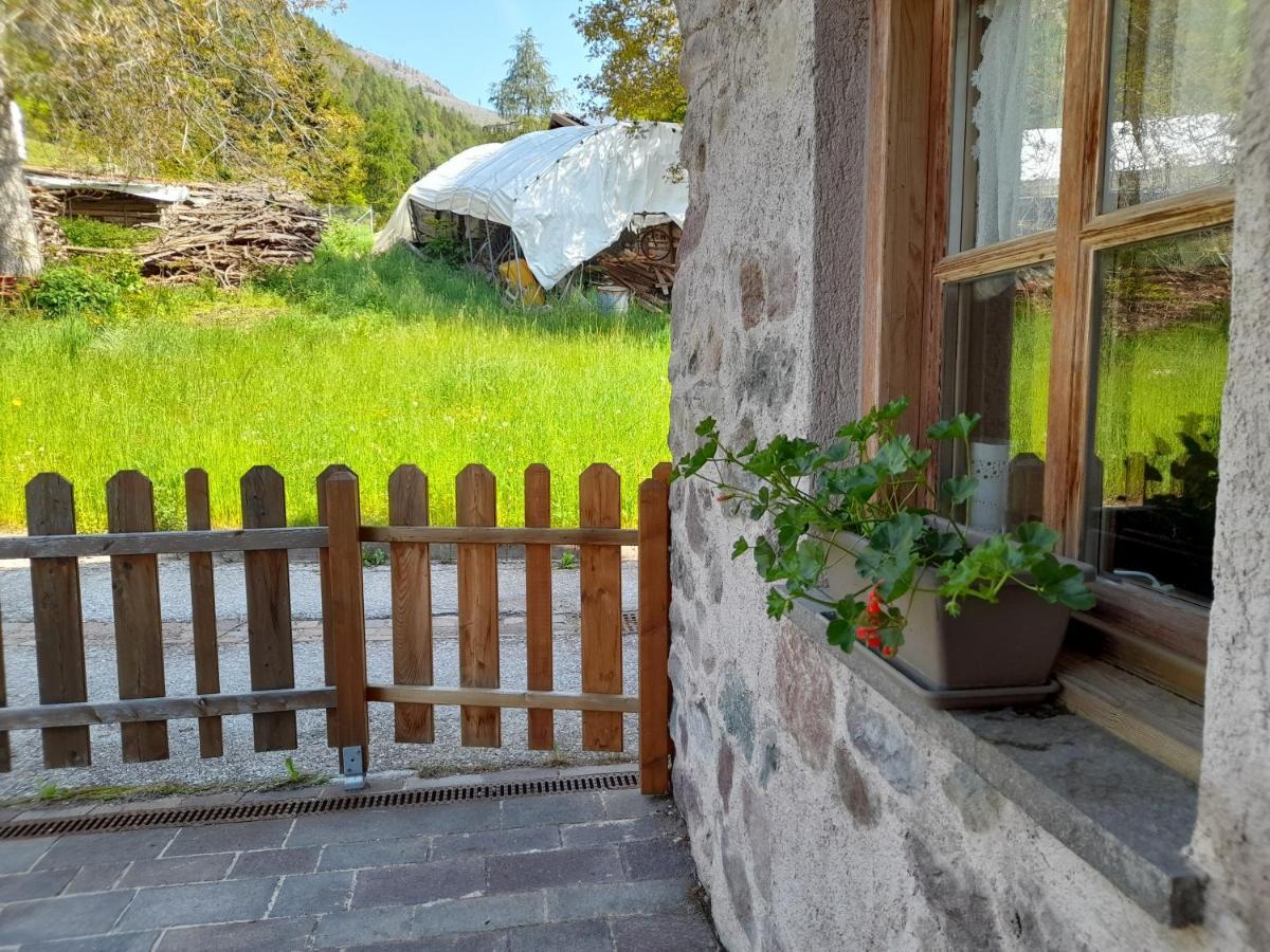 B&B Chalet Dolomiti Sant'Orsola Exterior foto